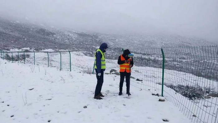 1591234056261076960.jpg 20200603170042_8550.jpg