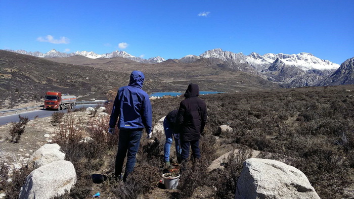 1591234080151040438.jpg 20200603170116_5290.jpg