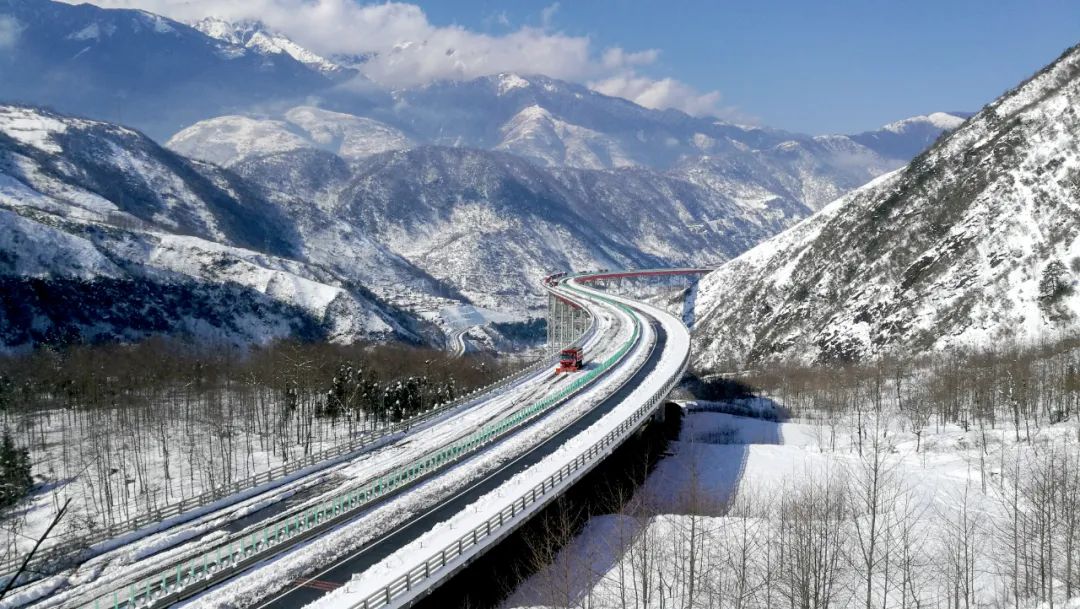 1684122128076064036.jpg 10.jpg