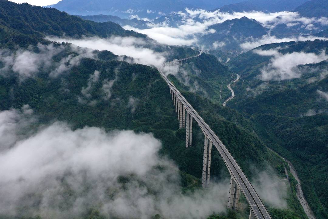 1741674078784077975.jpg 6.jpg